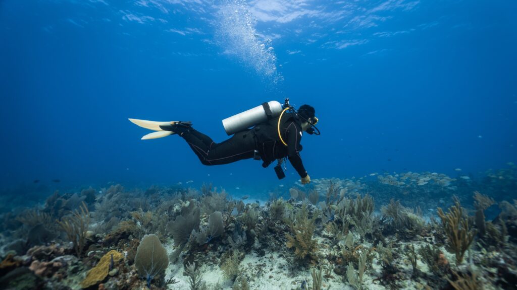 diver amazed by the quantity of fish and corals